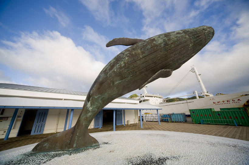 海鲜,无人,餐厅,横图,室外,白天,仰视,旅游,度假,美景,轮船,船,雕塑,东京,日本,亚洲,阴影,艺术,装饰,光线,鱼,雕刻,雕像,影子,景观,云,云朵,云彩,娱乐,水产,鱼类,海洋生物,蓝色,白云,蓝天,天空,阳光,自然,工艺品,交通工具,天,享受,休闲,景色,放松,晴朗,纪念,美术,自然风光,载具,水生动物,主题,海产品,水生物,陈列,东亚,海底动物,本州,关东地方,本州岛,日本国,东京都,功能,美学,小笠原群岛,父岛列岛,晴空,彩图,低角度拍摄,餐馆,饭店,饭馆