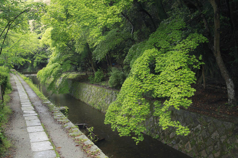 无人,横图,室外,白天,正面,旅游,度假,河流,名胜古迹,树林,水,植物,标志建筑,道路,地标,建筑,路,京都,日本,亚洲,遗迹,河水,水流,小路,交通,古迹,文物,娱乐,建设,古建筑,树,树木,绿色,自然,享受,休闲,旅游胜地,放松,京都府,生长,成长,古文明,东亚,本州,本州岛,日本国,近畿地方,近畿,慈照寺,银阁寺,彩图