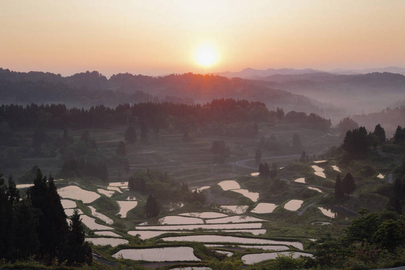 无人,农田,横图,俯视,室外,白天,旅游,度假,庄稼,梯田,农作物,日出,美景,太阳,雾,日本,亚洲,朦胧,模糊,曲折,弯曲,景观,朝霞,晨曦,黎明,娱乐,阳光,自然,享受,休闲,景色,放松,蜿蜒,迷雾,自然风光,东亚,本州,本州岛,日本国,中部地方,新潟,新潟县,朝阳,大雾,彩图,高角度拍摄,耕地,庄稼田,卯时,破晓,日始,十日町市