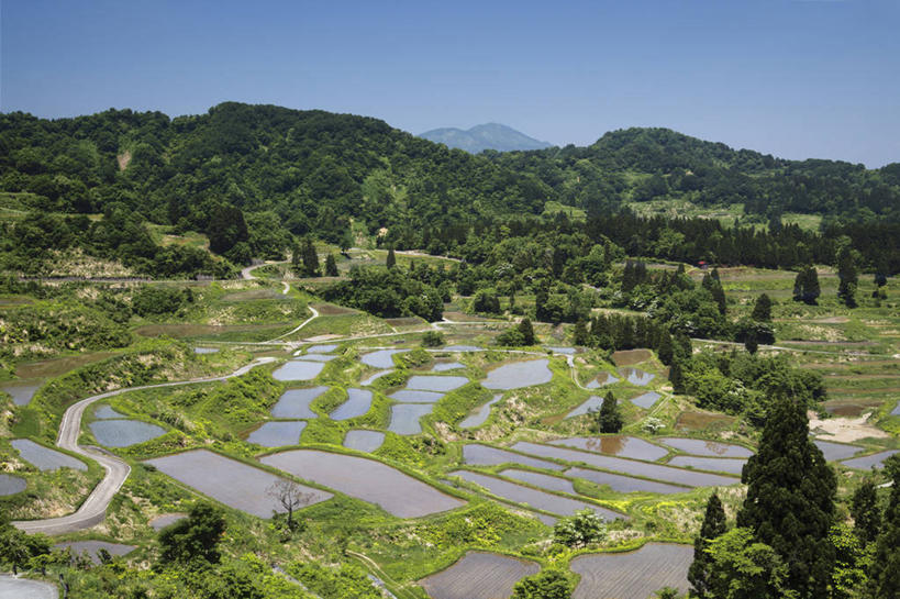 无人,农田,横图,俯视,室外,白天,旅游,度假,庄稼,梯田,农作物,美景,森林,山,山脉,树林,植物,日本,亚洲,阴影,曲折,弯曲,光线,影子,景观,山峰,山峦,娱乐,树,树木,蓝色,绿色,蓝天,天空,阳光,自然,群山,天,享受,休闲,景色,放松,蜿蜒,生长,晴朗,成长,自然风光,东亚,本州,万里无云,本州岛,日本国,中部地方,新潟,新潟县,晴空,晴空万里,彩图,高角度拍摄,耕地,庄稼田,十日町市