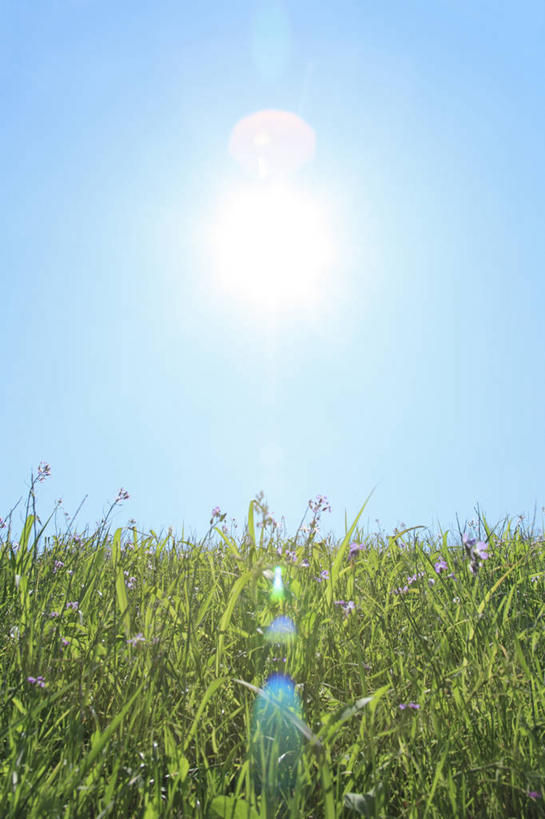 无人,竖图,室外,白天,正面,旅游,度假,草地,草坪,美景,植物,东京,日本,亚洲,阴影,光线,影子,景观,云,云朵,云彩,娱乐,草,蓝色,绿色,白云,蓝天,天空,阳光,自然,天,享受,休闲,景色,放松,晴朗,自然风光,东亚,本州,关东地方,本州岛,日本国,东京都,大田区,晴空,彩图