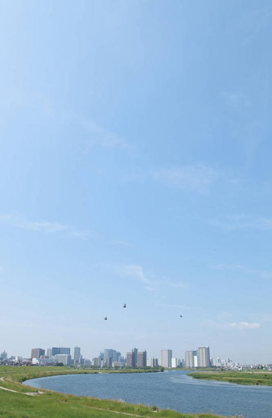 无人,高楼大厦,竖图,室外,白天,正面,度假,草地,草坪,河流,美景,水,植物,城市风光,城市,大厦,建筑,摩天大楼,东京,日本,亚洲,阴影,光线,影子,河水,景观,水流,娱乐,建设,草,树,树木,蓝色,绿色,蓝天,天空,阳光,自然,天,享受,休闲,景色,放松,生长,晴朗,成长,东亚,本州,万里无云,关东地方,本州岛,日本国,东京都,大田区,晴空,晴空万里,彩图,大楼,高层建筑,高楼,摩天楼