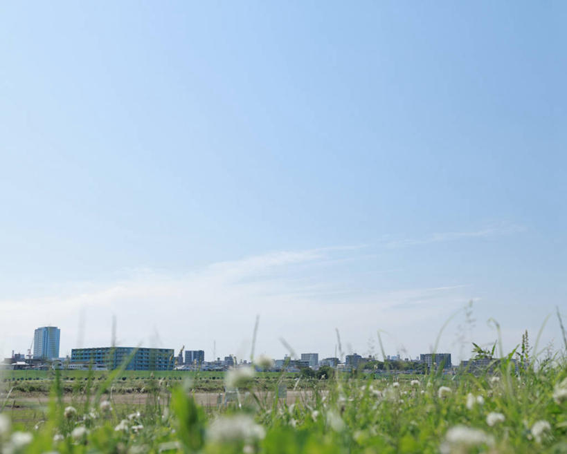 无人,高楼大厦,横图,室外,白天,正面,度假,草地,草坪,美景,植物,城市风光,城市,大厦,建筑,摩天大楼,东京,日本,亚洲,阴影,光线,影子,景观,云,云朵,云彩,娱乐,建设,草,蓝色,绿色,白云,蓝天,天空,阳光,天,享受,休闲,景色,放松,晴朗,东亚,本州,关东地方,本州岛,日本国,东京都,大田区,晴空,彩图,大楼,高层建筑,高楼,摩天楼