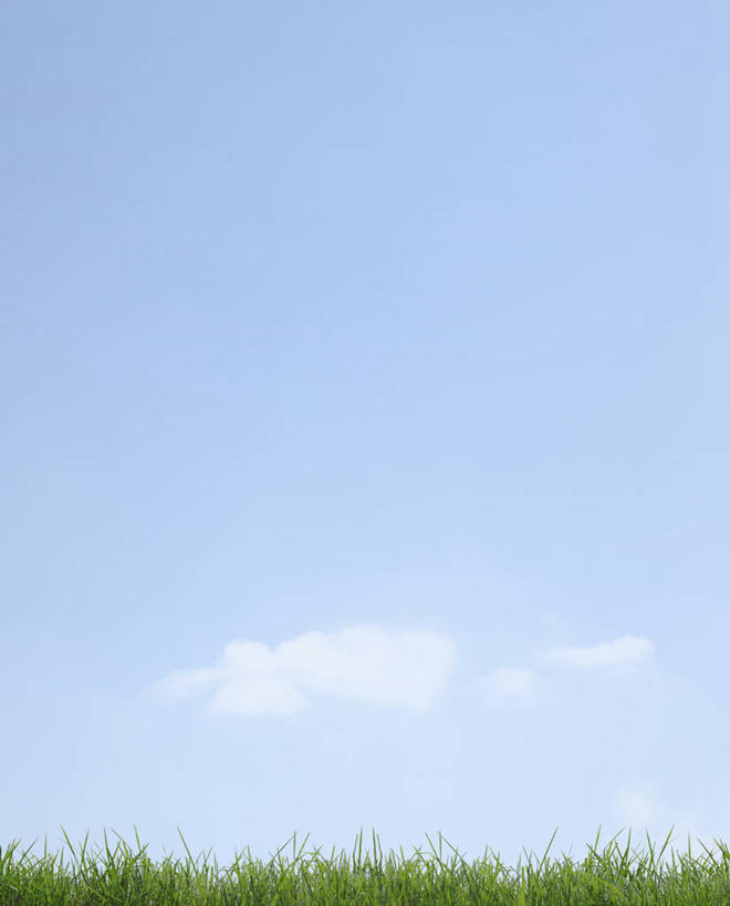 无人,竖图,室外,白天,正面,旅游,度假,草地,草坪,美景,植物,东京,日本,亚洲,阴影,光线,影子,景观,云,云朵,云彩,娱乐,草,蓝色,绿色,白云,蓝天,天空,阳光,自然,天,享受,休闲,景色,放松,晴朗,自然风光,东亚,本州,关东地方,本州岛,日本国,东京都,大田区,晴空,彩图