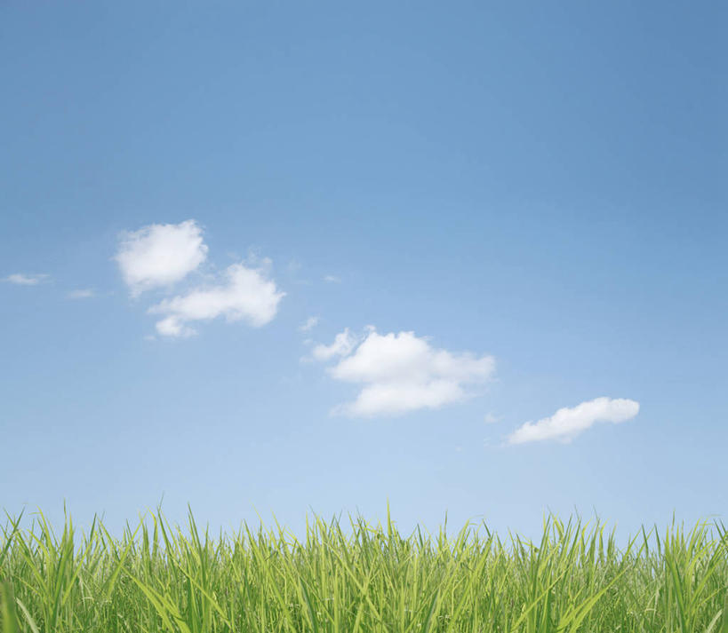 无人,横图,室外,白天,正面,旅游,度假,草地,草坪,美景,植物,东京,日本,亚洲,阴影,光线,影子,景观,云,云朵,云彩,娱乐,草,蓝色,绿色,白云,蓝天,天空,阳光,自然,天,享受,休闲,景色,放松,晴朗,自然风光,东亚,本州,关东地方,本州岛,日本国,东京都,大田区,晴空,彩图