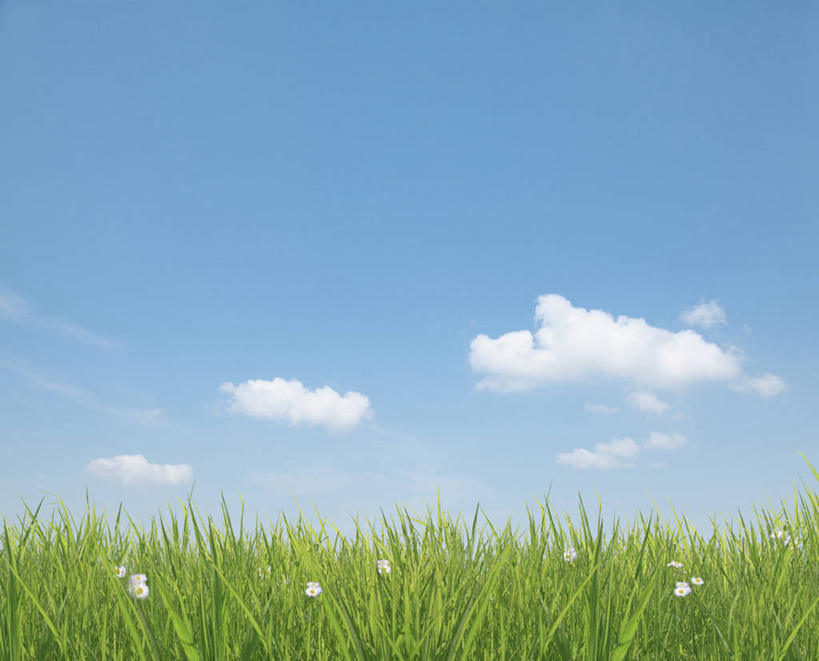 无人,横图,室外,白天,正面,旅游,度假,草地,草坪,美景,植物,东京,日本,亚洲,阴影,盛开,光线,影子,景观,云,云朵,花蕾,云彩,娱乐,草,花,花瓣,花朵,鲜花,蓝色,绿色,白色,白云,蓝天,天空,阳光,自然,天,花苞,花蕊,享受,休闲,景色,放松,晴朗,自然风光,东亚,本州,关东地方,本州岛,日本国,东京都,大田区,晴空,彩图