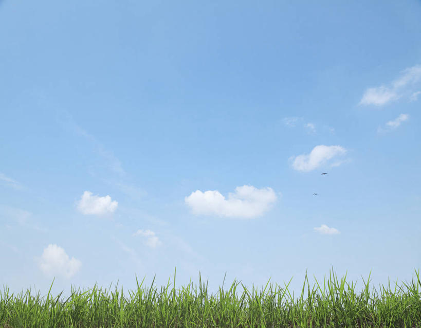 无人,横图,室外,白天,正面,旅游,度假,草地,草坪,美景,植物,东京,日本,亚洲,阴影,光线,影子,景观,云,云朵,云彩,娱乐,草,蓝色,绿色,白云,蓝天,天空,阳光,自然,天,享受,休闲,景色,放松,晴朗,自然风光,东亚,本州,关东地方,本州岛,日本国,东京都,大田区,晴空,彩图