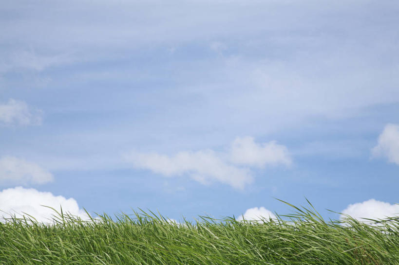 无人,横图,室外,白天,正面,旅游,度假,草地,草坪,美景,植物,东京,日本,亚洲,阴影,光线,影子,景观,云,云朵,云彩,娱乐,草,蓝色,绿色,白云,蓝天,天空,阳光,自然,天,享受,休闲,景色,放松,晴朗,自然风光,东亚,本州,关东地方,本州岛,日本国,东京都,大田区,晴空,彩图