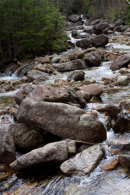 无人,竖图,室外,白天,正面,旅游,度假,草地,草坪,河流,石头,美景,水,植物,长野县,日本,亚洲,许多,阴影,光线,石子,影子,河水,景观,水流,娱乐,草,绿色,小溪,阳光,自然,溪水,享受,休闲,景色,放松,自然风光,东亚,本州,本州岛,日本国,中部地方,长野,新潟,新潟县,信浓川,石块,彩图