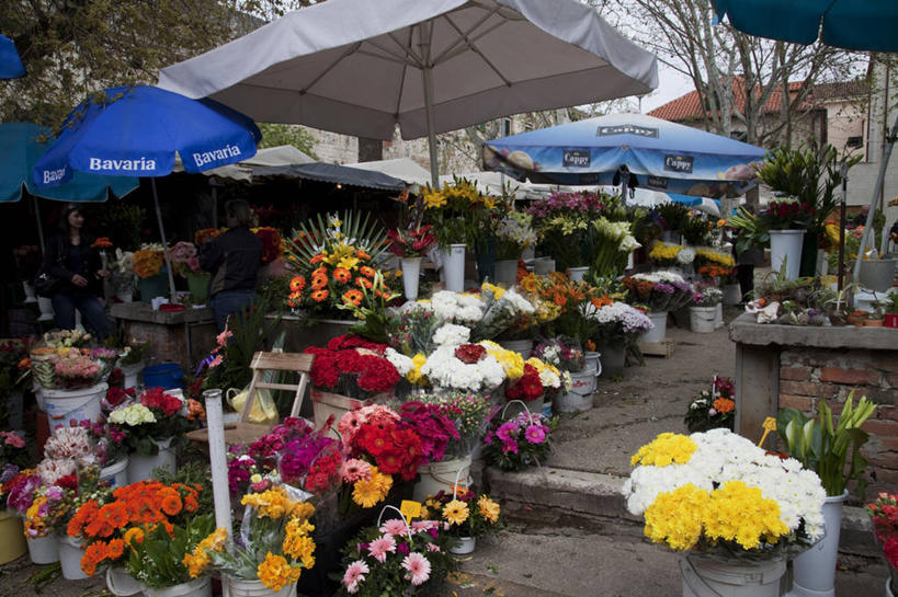 无人,花店,商店,横图,室外,白天,正面,度假,美景,植物,城市风光,城市,欧洲,克罗地亚,许多,阴影,盛开,光线,盆栽,伞,影子,雨伞,遮阳伞,景观,盆景,花蕾,娱乐,阳伞,商铺,花,花瓣,花朵,鲜花,绿色,阳光,自然,花苞,花蕊,享受,休闲,景色,放松,生长,成长,太阳伞,首府,市肆,商号,克罗地亚共和国,斯普利特,斯普利特.达尔马提亚县,彩图,店铺