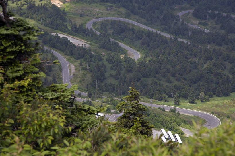 无人,横图,俯视,航拍,室外,白天,旅游,度假,美景,森林,山,山脉,树林,植物,道路,路,公路,长野县,日本,亚洲,阴影,曲折,弯曲,光线,影子,景观,山峰,分界线,停车线,交通,山峦,娱乐,树,树木,绿色,阳光,自然,群山,享受,休闲,景色,放松,蜿蜒,生长,成长,车行道,车行道分界线,鸟瞰,自然风光,标线,东亚,车行线,本州,本州岛,日本国,中部地方,长野,山之内,山之内町,下高井郡,马路,彩图,高角度拍摄