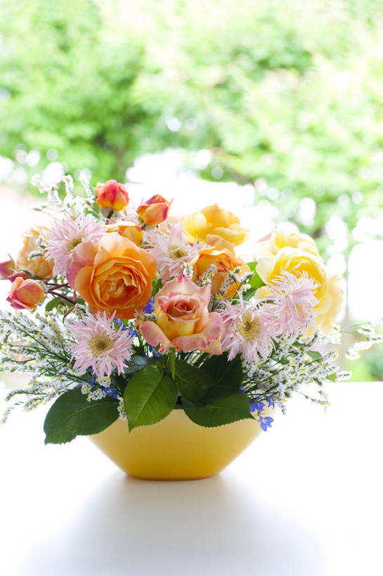 无人,竖图,室内,特写,白天,正面,智慧,植物,窗户,花瓶,许多,阴影,朦胧,模糊,艺术,装饰,盛开,反射,影子,陶瓷,非洲菊,草药,药草,陶瓷制品,花蕾,文化,中药,玻璃窗,花,花瓣,花朵,鲜花,树,树木,一个,绿色,自然,插花,瓶子,花苞,花蕊,菊花,清热,生长,单个,成长,华丽,修饰,插花艺术,点缀,创造,创作,半边莲,药材,中草药,想象,中药材,本草,半边花,扶郎花,灯盏花,千日菊,衬托,美观,雅致,雅观,止血,解毒,利尿,消炎,生肌,消肿,瓜仁草,利水,彩图