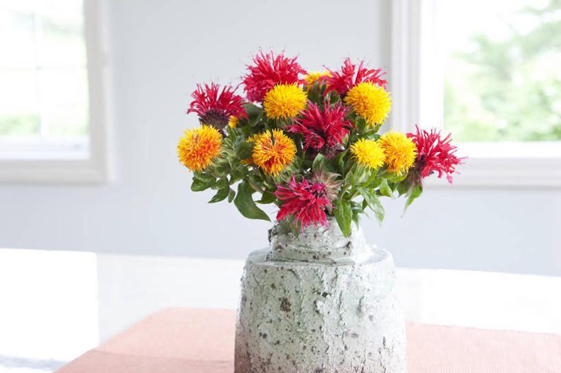 无人,横图,室内,特写,白天,正面,智慧,植物,窗户,花瓶,许多,阴影,艺术,装饰,盛开,反射,布料,影子,陶瓷,墙,草药,药草,陶瓷制品,很多,花蕾,布纹,文化,佛手,中药,玻璃窗,墙壁,墙面,桌布,花,花瓣,花朵,鲜花,一个,黄色,红色,白色,插花,餐巾,瓶子,台布,红花,花苞,花蕊,佛手柑,单个,华丽,修饰,插花艺术,吉祥,点缀,创造,创作,药材,中草药,想象,中药材,本草,杜红花,衬托,美观,雅致,雅观,草红,草红花,幸运,餐桌布,彩图,九爪木,五指橘