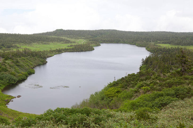 无人,横图,俯视,航拍,室外,白天,旅游,度假,湖,湖泊,美景,森林,树林,水,植物,日本,亚洲,阴影,光线,影子,湖面,景观,水流,水面,娱乐,树,树木,蓝色,绿色,蓝天,天空,阳光,自然,湖水,天,享受,休闲,景色,放松,生长,晴朗,成长,鸟瞰,自然风光,东亚,本州,万里无云,本州岛,日本国,岩手,岩手县,东北地方,八幡平市,晴空,晴空万里,彩图,高角度拍摄