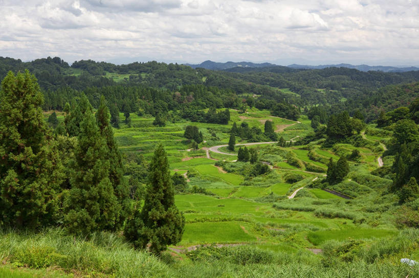 无人,农田,横图,俯视,航拍,室外,白天,旅游,度假,农业,庄稼,农作物,美景,森林,树林,植物,日本,亚洲,阴影,光线,影子,稻田,景观,云,云朵,云彩,娱乐,树,树木,蓝色,绿色,白云,蓝天,天空,阳光,自然,天,享受,休闲,景色,放松,生长,晴朗,成长,鸟瞰,自然风光,东亚,本州,本州岛,日本国,中部地方,新潟,新潟县,晴空,彩图,高角度拍摄,耕地,庄稼田,十日町市