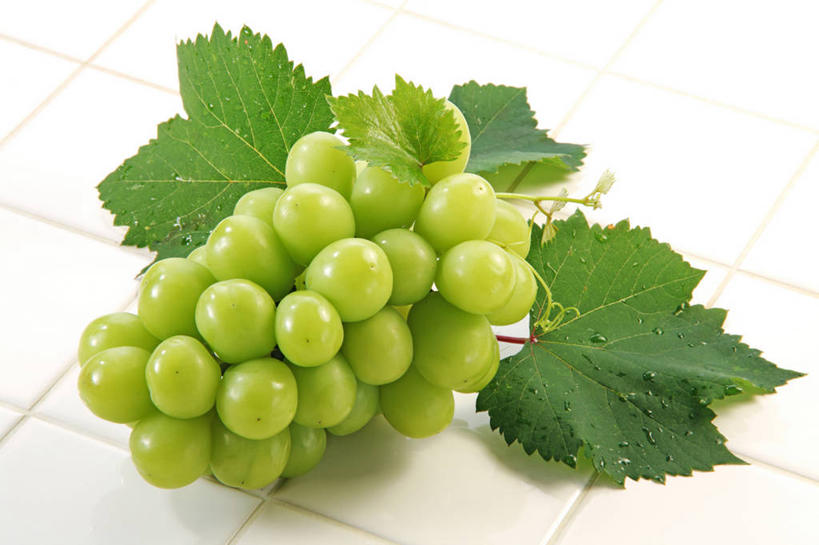 无人,横图,俯视,室内,特写,白天,葡萄,水果,叶子,一堆,许多,堆叠,堆积,新鲜,瓷砖,地砖,生食,食品,果实,绿叶,地面,很多,食物,嫩叶,摄影,有机食品,绿色食品,影棚,堆,叶,叶片,山葫芦,蒲桃,草龙珠,彩图,高角度拍摄,影棚拍摄,拍摄,白麝香