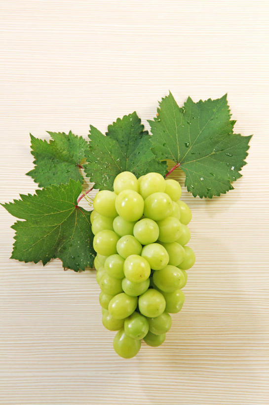 无人,竖图,俯视,室内,特写,白天,白色背景,葡萄,水果,叶子,一堆,许多,堆叠,堆积,新鲜,生食,食品,果实,绿叶,很多,食物,绿色,嫩叶,摄影,有机食品,绿色食品,影棚,堆,叶,叶片,山葫芦,蒲桃,草龙珠,彩图,高角度拍摄,影棚拍摄,拍摄,白麝香