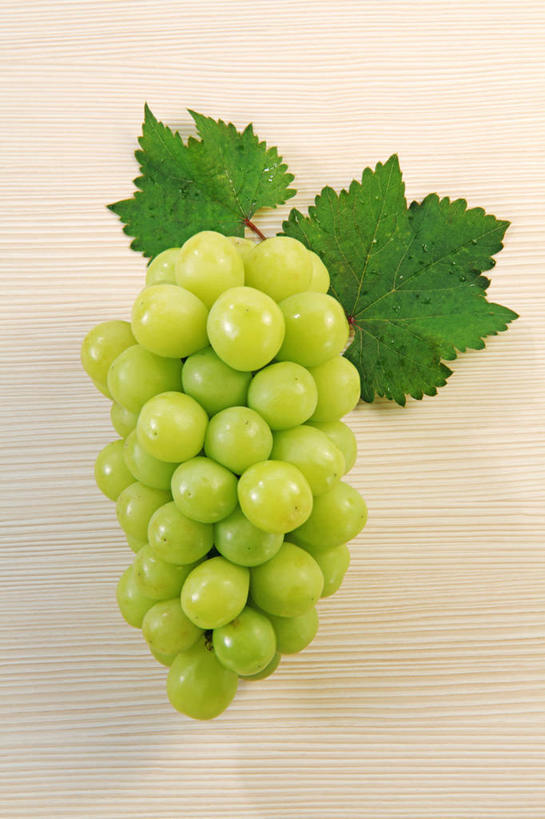无人,竖图,俯视,室内,特写,白天,白色背景,葡萄,水果,叶子,一堆,许多,堆叠,堆积,新鲜,生食,食品,果实,绿叶,很多,食物,绿色,嫩叶,摄影,有机食品,绿色食品,影棚,堆,叶,叶片,山葫芦,蒲桃,草龙珠,彩图,高角度拍摄,影棚拍摄,拍摄,白麝香