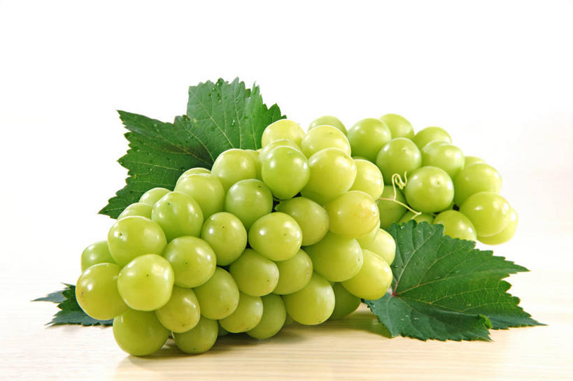 无人,横图,俯视,室内,特写,白天,白色背景,葡萄,水果,叶子,一堆,许多,堆叠,堆积,新鲜,生食,食品,果实,绿叶,很多,食物,绿色,嫩叶,摄影,有机食品,绿色食品,影棚,堆,叶,叶片,山葫芦,蒲桃,草龙珠,彩图,高角度拍摄,影棚拍摄,拍摄,白麝香