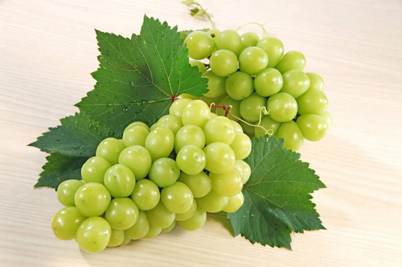 无人,横图,俯视,室内,特写,白天,白色背景,葡萄,水果,叶子,一堆,许多,堆叠,堆积,新鲜,生食,食品,果实,绿叶,很多,食物,绿色,嫩叶,摄影,有机食品,绿色食品,影棚,堆,叶,叶片,山葫芦,蒲桃,草龙珠,彩图,高角度拍摄,影棚拍摄,拍摄,白麝香