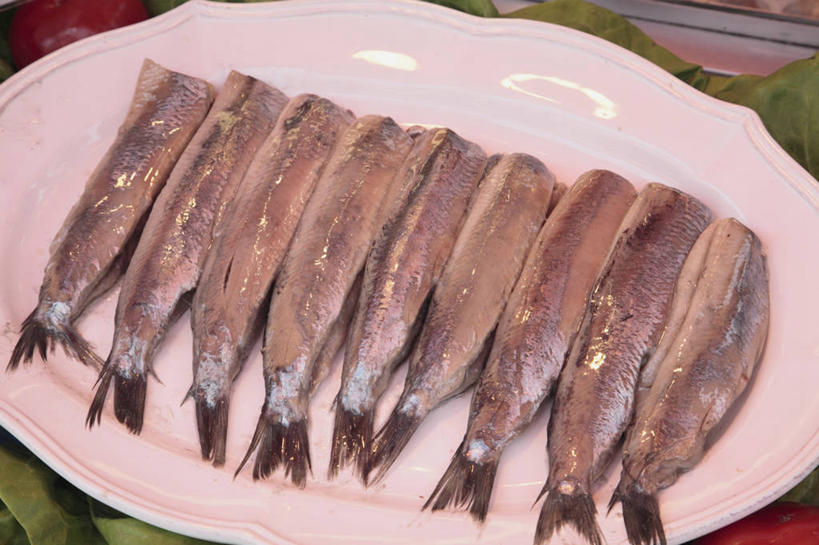 海鲜,无人,横图,俯视,室内,特写,白天,餐桌,桌子,餐具,一排,许多,整齐,碟子,盘,很多,水产,海洋生物,排列,盘子,碟,餐台,鲱鱼,队列,水生动物,海产品,水生物,海底动物,太平洋鲱鱼,彩图,高角度拍摄