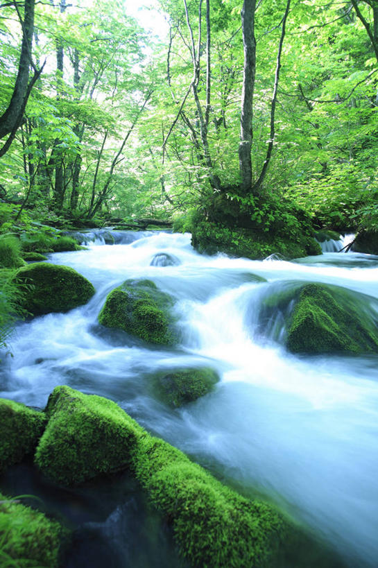 无人,竖图,室外,白天,正面,旅游,度假,河流,石头,美景,水,植物,日本,亚洲,阴影,朦胧,模糊,光线,石子,影子,河水,景观,水流,云,云朵,青苔,苔藓,云彩,娱乐,树,树木,蓝色,绿色,白云,蓝天,天空,小溪,阳光,自然,天,溪水,享受,休闲,景色,放松,生长,晴朗,成长,自然风光,东亚,本州,本州岛,日本国,青森,青森县,东北地方,奥入濑町,奥入濑溪流,石块,晴空,彩图,上北郡
