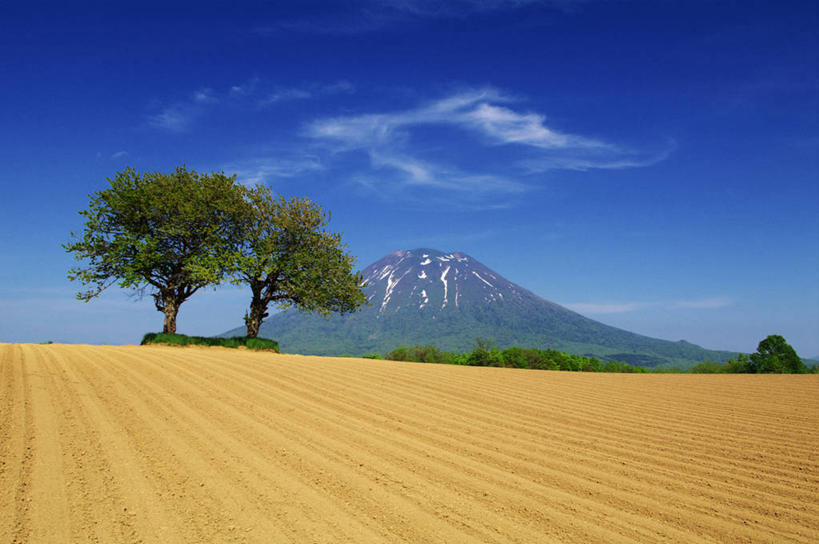 无人,农田,横图,室外,白天,正面,旅游,度假,庄稼,农作物,草地,草坪,美景,山,山脉,植物,北海道,日本,亚洲,阴影,光线,影子,景观,泥土,山峰,土壤,云,云朵,山峦,云彩,娱乐,草,树,树木,蓝色,绿色,白云,蓝天,天空,阳光,自然,群山,天,享受,休闲,景色,放松,生长,晴朗,成长,自然风光,东亚,日本国,北海道地方,北海道岛,羊蹄山,支笏洞爷国立公园,晴空,彩图,耕地,庄稼田