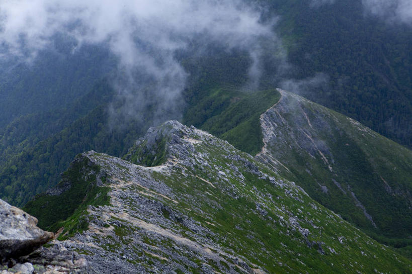 无人,横图,俯视,航拍,室外,白天,旅游,度假,美景,山,山脉,植物,雾,长野县,日本,亚洲,阴影,朦胧,模糊,光线,影子,景观,山峰,山峦,娱乐,树,树木,绿色,阳光,自然,群山,享受,休闲,景色,放松,生长,成长,迷雾,鸟瞰,自然风光,东亚,本州,本州岛,日本国,中部地方,长野,安昙野,安昙野市,大雾,彩图,高角度拍摄