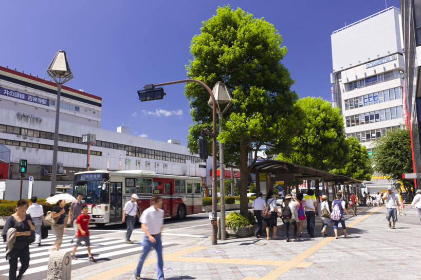 东方人,背部,高楼大厦,站,走,横图,室外,白天,正面,度假,安全,美景,植物,城市风光,城市,大厦,道路,建筑,路,路灯,摩天大楼,人行横道,公路,公共汽车,照明,东京,日本,亚洲,行人,游客,游人,阴影,服装,光线,伞,影子,雨伞,景观,红绿灯,人行道,灯光,巴士,信号灯,公交车,交通,许多人,注视,休闲装,黄种人,娱乐,阳伞,路人,旅客,车,灯,树,树木,衣服,蓝色,绿色,蓝天,天空,阳光,自然,交通工具,天,观察,看,站着,一群人,享受,休闲,休闲服,景色,放松,警示,服饰,生长,晴朗,成长,观看,照亮,察看,照明设备,关注,提示,载具,人行横道线,流通,东亚,交通信号灯,本州,万里无云,行人信号灯,关东地方,本州岛,日本国,东京都,过客,吉祥寺,男人,男性,年轻男性,年轻女性,女人,女性,中年男性,中年女性,亚洲人,晴空,晴空万里,斑马线,马路,步行,散步,站立,走路,半身,彩图,大楼,高层建筑,高楼,摩天楼,文京区