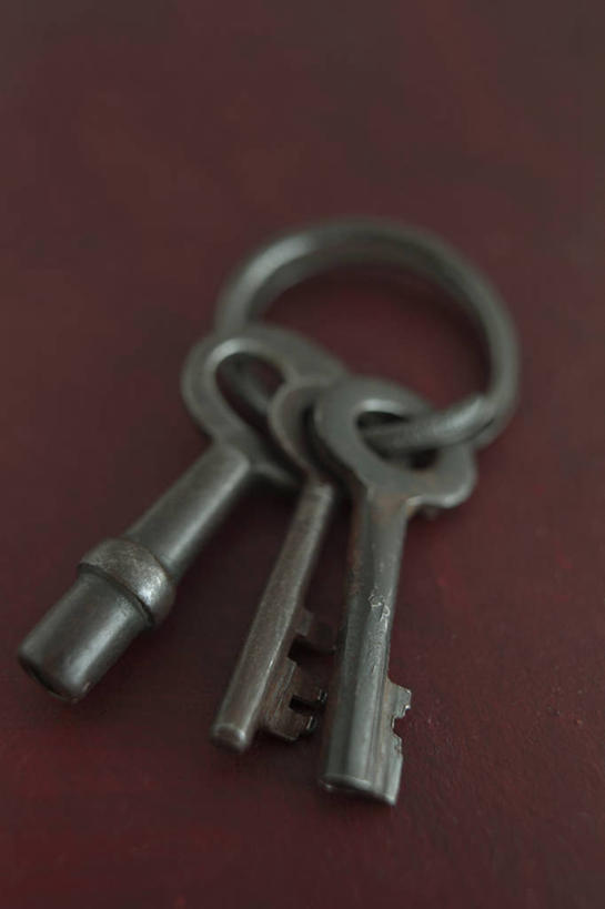 无人,竖图,俯视,室内,特写,白天,安全,静物,金属制品,连接,红色背景,古老,装饰,金属,防护,钥匙,钥匙圈,三把,一个,摄影,影棚,单个,保护,华丽,修饰,点缀,开启,封闭,钥匙链,保险,私密,钥匙扣,保全,周全,安稳,安定,防盗,衬托,美观,雅致,雅观,贯穿,连结,衔接,陈腐,串连,平安,彩图,高角度拍摄,影棚拍摄,拍摄,锁匙扣,钥匙挂