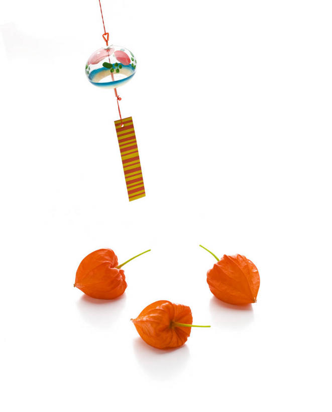 无人,竖图,室内,特写,白天,白色背景,正面,幸福,运气,风铃,水果,阴影,新鲜,反射,影子,生食,食品,果实,食物,三个,一个,红色,白色,祈祷,祈福,警示,许愿,摄影,有机食品,绿色食品,影棚,单个,祈求,吉祥,平和,问候,警惕,金灯,思念,想念,玉振,挂金灯,红姑娘,锦灯笼,酸浆,泡泡草,幸运,占风铎,彩图,影棚拍摄,拍摄