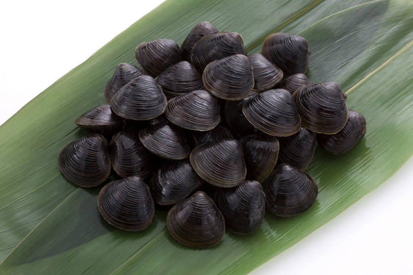 海鲜,无人,横图,室内,特写,白天,白色背景,正面,叶子,一堆,一片,许多,阴影,堆叠,堆积,反射,影子,褐色,绿叶,很多,水产,海洋生物,白色,嫩叶,摄影,影棚,堆,水生动物,海产品,水生物,海底动物,叶,叶片,彩图,影棚拍摄,拍摄,蚬