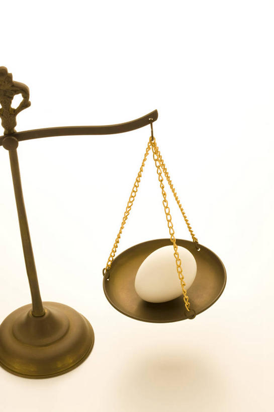 无人,竖图,俯视,室内,特写,白天,白色背景,实验,仪器,天平,阴影,研究,反射,分析,化学,测试,影子,蛋,鸡蛋,一个,白色,平衡,摄影,影棚,单个,衡量,计量,草鸡蛋,试验耗材,实验用品,卵,秤,天平称,天平秤,彩图,高角度拍摄,影棚拍摄,拍摄