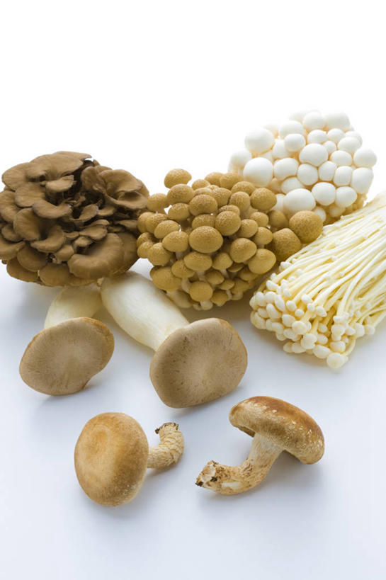 无人,竖图,俯视,室内,特写,白天,白色背景,餐桌,桌子,一堆,许多,阴影,堆叠,堆积,反射,影子,金针菇,菌菇,香菇,很多,菌类,平菇,白色,食用菌,摄影,影棚,餐台,堆,真菌,姬菇,构菌,金菇,毛柄金钱菌,银针菇,智力菇,糙皮侧耳,侧耳,黑牡丹菇,椎茸,彩图,高角度拍摄,影棚拍摄,拍摄,平庄菇,香菌,香蕈