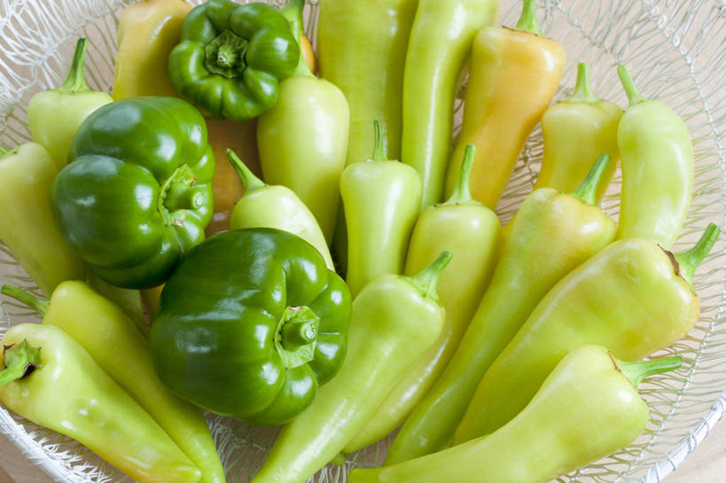 无人,交叉,横图,俯视,室内,特写,白天,餐桌,桌子,辣椒,蔬菜,金属制品,一堆,许多,阴影,堆叠,堆积,新鲜,编织,反射,金属,篮子,影子,青椒,食品,很多,食物,一个,容器,有机食品,绿色食品,单个,餐台,储藏,堆,交织,储存,彩椒,辣角,红海椒,大椒,辣虎,广椒,菜椒,穿插,甜椒,柿子椒,辣子,海椒,番椒,灯笼椒,彩图,高角度拍摄,贮存