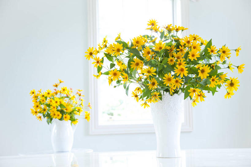 无人,横图,室内,特写,白天,正面,快乐,幸福,智慧,窗户,桌面,桌子,花瓶,阴影,艺术,盛开,反射,木制,影子,陶瓷,墙,玛格丽特,陶瓷制品,花蕾,文化,玻璃窗,墙壁,墙面,雏菊,花,花瓣,花朵,鲜花,两个,黄色,白色,插花,木制品,瓶子,花苞,花蕊,菊花,活力,希望,插花艺术,创造,坚强,创作,和平,想象,离别,延命菊,幸福花,春菊,马兰头花,暗恋,纯情,单恋,瓜叶菊,天真,彩图,愉快