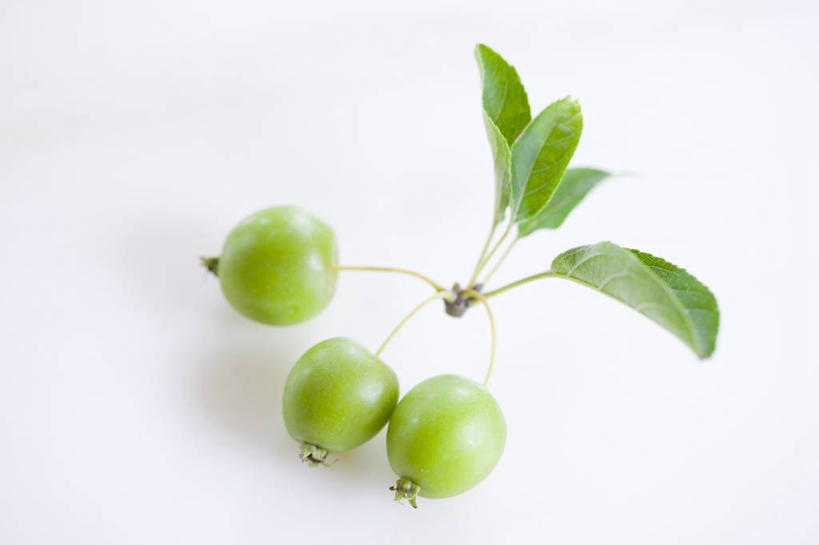 无人,横图,俯视,室内,特写,白天,白色背景,植物,水果,叶子,阴影,新鲜,反射,纹理,影子,生食,食品,果实,绿叶,食物,三个,绿色,山楂,嫩叶,摄影,有机食品,绿色食品,影棚,肌理,红果,叶,叶片,叶脉,彩图,高角度拍摄,影棚拍摄,拍摄