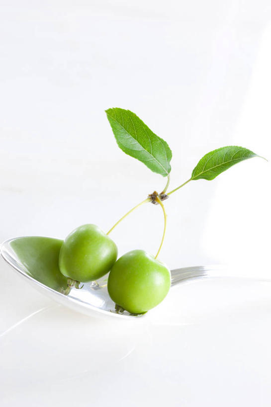 无人,竖图,俯视,室内,特写,白天,白色背景,植物,水果,叶子,阴影,新鲜,反射,纹理,影子,生食,食品,果实,绿叶,食物,两个,绿色,山楂,嫩叶,摄影,有机食品,绿色食品,影棚,肌理,红果,叶,叶片,叶脉,彩图,高角度拍摄,影棚拍摄,拍摄