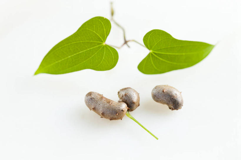 无人,横图,俯视,室内,特写,白天,白色背景,植物,蔬菜,叶子,阴影,新鲜,反射,纹理,影子,山药,食品,绿叶,食物,绿色,嫩叶,摄影,有机食品,绿色食品,影棚,肌理,薯蓣,怀山药,淮山药,玉延,山薯,叶,叶片,叶脉,彩图,高角度拍摄,影棚拍摄,拍摄