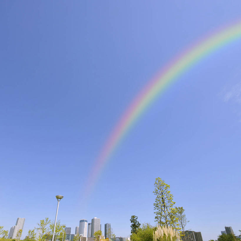 无人,高楼大厦,横图,室外,白天,仰视,度假,办公楼,彩虹,美景,植物,城市风光,城市,大厦,建筑,摩天大楼,写字楼,东京,日本,亚洲,阴影,光线,影子,景观,江东区,娱乐,树,树木,蓝色,绿色,蓝天,天空,阳光,自然,楼宇,天,享受,休闲,商务楼,景色,放松,生长,晴朗,成长,东亚,本州,万里无云,关东地方,本州岛,日本国,东京都,虹,虹桥,七彩虹,晴空,晴空万里,天虹,彩图,低角度拍摄,大楼,高层建筑,高楼,摩天楼,丰洲