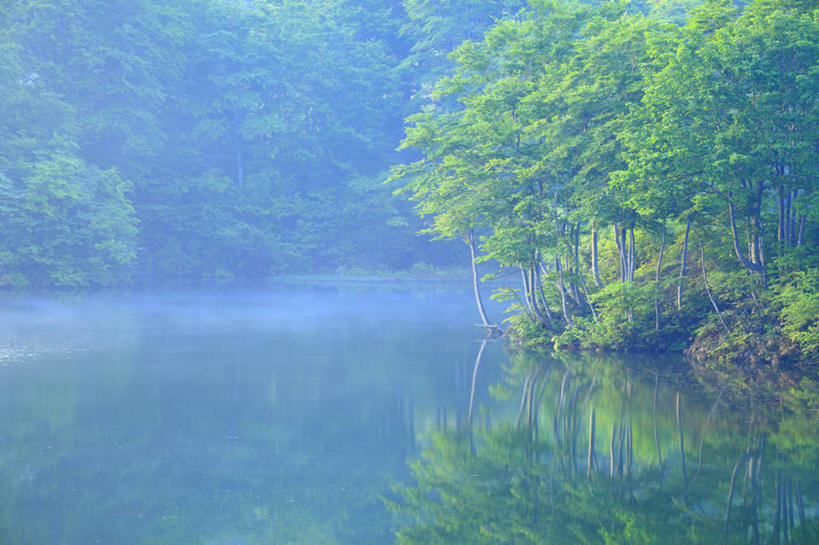 无人,横图,室外,白天,正面,旅游,度假,湖,湖泊,美景,森林,树林,水,植物,雾,日本,亚洲,波纹,朦胧,模糊,湖面,景观,水流,水面,涟漪,娱乐,树,树木,绿色,倒影,水纹,自然,波浪,湖水,享受,休闲,景色,放松,生长,成长,迷雾,倒映,自然风光,东亚,本州,本州岛,日本国,中部地方,水晕,新潟,新潟县,反照,大雾,彩图,十日町市