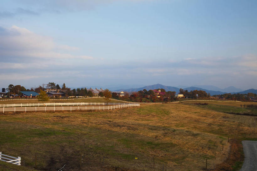 无人,家,木屋,农田,栏杆,横图,室外,白天,正面,旅游,度假,庄稼,农作物,草地,草坪,美景,树林,植物,日本,亚洲,阴影,光线,影子,栅栏,景观,篱笆,云,云朵,围栏,云彩,娱乐,护栏,住宅,草,树,树木,蓝色,绿色,白云,蓝天,天空,阳光,自然,天,享受,休闲,景色,放松,生长,晴朗,成长,自然风光,东亚,本州,本州岛,日本国,中国地方,冈山,冈山县,蒜山高原,晴空,彩图,耕地,庄稼田,茅舍,茅屋,棚屋,小木屋,小屋,真庭,真庭市,蒜山