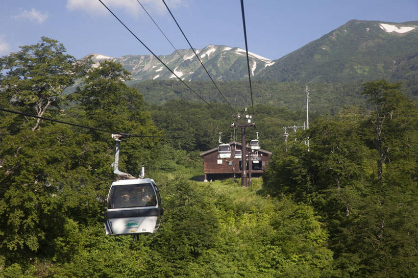 无人,横图,室外,白天,正面,旅游,度假,美景,森林,山,山脉,树林,植物,长野县,日本,亚洲,阴影,光线,影子,景观,山峰,云,云朵,山峦,云彩,娱乐,缆车,树,树木,蓝色,绿色,白云,蓝天,天空,阳光,自然,交通工具,群山,天,享受,休闲,景色,放松,生长,晴朗,成长,自然风光,东亚,索道,本州,本州岛,日本国,中部地方,长野,缆索铁路,北安,北安昙郡,晴空,彩图,小谷村,栂池高原