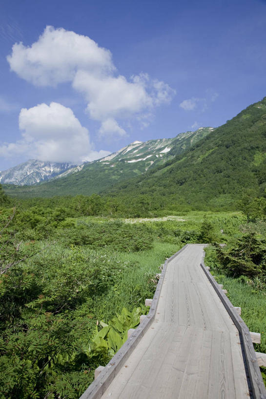 无人,竖图,室外,白天,正面,旅游,度假,草地,草坪,美景,山,山脉,树林,植物,道路,路,长野县,日本,亚洲,阴影,光线,影子,景观,山峰,云,云朵,小路,交通,山峦,云彩,娱乐,草,树,树木,蓝色,绿色,白云,蓝天,天空,阳光,自然,群山,天,享受,休闲,景色,放松,生长,晴朗,成长,自然风光,东亚,本州,本州岛,日本国,中部地方,长野,北安,北安昙郡,晴空,彩图,小谷村,栂池高原