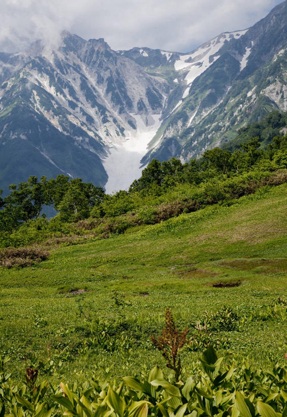 无人,竖图,俯视,室外,白天,旅游,度假,草地,草坪,美景,森林,山,树林,雪,雪山,植物,大雪,长野县,日本,亚洲,阴影,光线,影子,冰,积雪,景观,山峰,雪景,云,云朵,冬季,冬天,山峦,云彩,娱乐,草,树,树木,蓝色,绿色,白云,蓝天,天空,阳光,自然,天,享受,休闲,景色,放松,寒冷,生长,晴朗,成长,冰冷,自然风光,东亚,本州,本州岛,日本国,中部地方,长野,严寒,冰凉,酷寒,凛冽,凛凛,极冷,北安,北安昙郡,晴空,彩图,高角度拍摄,小谷村,栂池高原