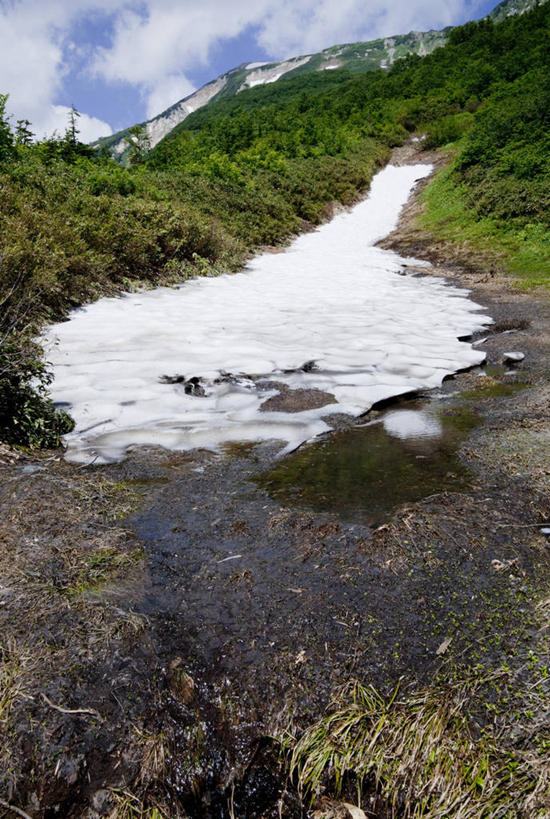 无人,竖图,室外,白天,正面,旅游,度假,美景,森林,山,山脉,树林,雪,植物,大雪,长野县,日本,亚洲,阴影,光线,影子,积雪,景观,山峰,雪景,云,云朵,冬季,冬天,山峦,云彩,娱乐,树,树木,蓝色,绿色,白云,蓝天,天空,阳光,自然,群山,天,享受,休闲,景色,放松,寒冷,生长,晴朗,成长,自然风光,东亚,本州,本州岛,日本国,中部地方,长野,严寒,北安,北安昙郡,晴空,彩图,小谷村,栂池高原