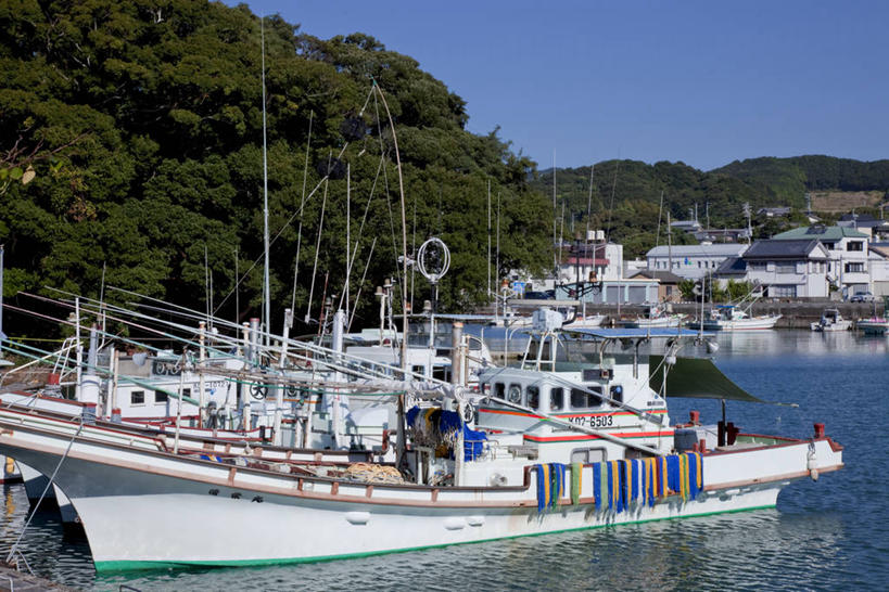 无人,家,码头,横图,室外,白天,正面,旅游,度假,海浪,海洋,美景,树林,植物,港口,轮船,船,日本,亚洲,阴影,光线,影子,房屋,屋子,景观,浪花,公寓,娱乐,洋房,楼房,住宅,树,树木,蓝色,绿色,蓝天,天空,阳光,自然,海水,交通工具,天,享受,休闲,景色,放松,生长,晴朗,成长,自然风光,载具,海景,东亚,万里无云,高知,日本国,高知县,四国地方,四国,四国岛,大海,风浪,海,海水的波动,近岸浪,涌浪,晴空,晴空万里,彩图,房子,摆渡口,埠头,渡口,渡头,港湾,海港,货运码头,口岸,商港,土佐清水市,足摺岬