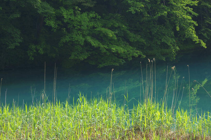 无人,横图,室外,白天,正面,旅游,度假,草地,草坪,美景,树林,植物,日本,亚洲,池塘,景观,水池,娱乐,草,树,树木,绿色,自然,享受,休闲,景色,放松,生长,成长,自然风光,东亚,本州,本州岛,日本国,东北地方,福岛,福岛县,彩图