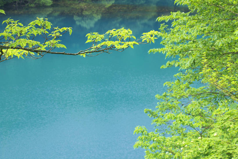 无人,横图,室外,白天,正面,旅游,度假,草地,草坪,美景,树林,植物,日本,亚洲,池塘,景观,水池,娱乐,草,树,树木,绿色,自然,享受,休闲,景色,放松,生长,成长,自然风光,东亚,本州,本州岛,日本国,东北地方,福岛,福岛县,彩图