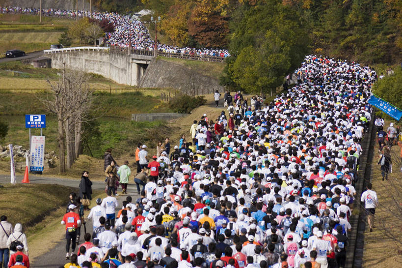 东方人,跑,横图,俯视,室外,白天,运动服,锻炼,快乐,比赛,运动,竞争,马拉松赛,草地,草坪,植物,道路,路,帽子,亚洲,阴影,服装,光线,影子,小路,交通,许多人,黄种人,娱乐,运动帽,草,树,树木,衣服,绿色,阳光,自然,一群人,休闲,鸭舌帽,服饰,生长,成长,大众,体育运动,衣着,穿着,群众,长跑,衣饰,人民,体育,马拉松,男人,男性,年轻男性,年轻女性,女人,女性,亚洲人,跑步,半身,彩图,高角度拍摄,健身,运动装